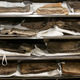 Image for article titled The Race To Digitize Iraqi History Before ISIS Can Get To It